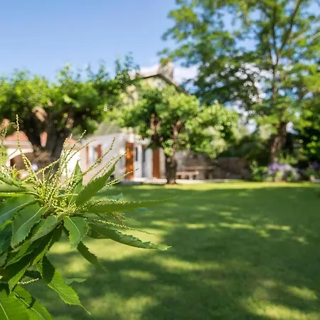 Gemuetliches In Ruzici Mit Offenem Kamin Holiday home