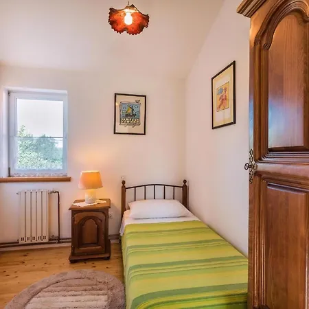 Gemuetliches In Ruzici Mit Offenem Kamin Holiday home